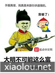 大明不可能这么富